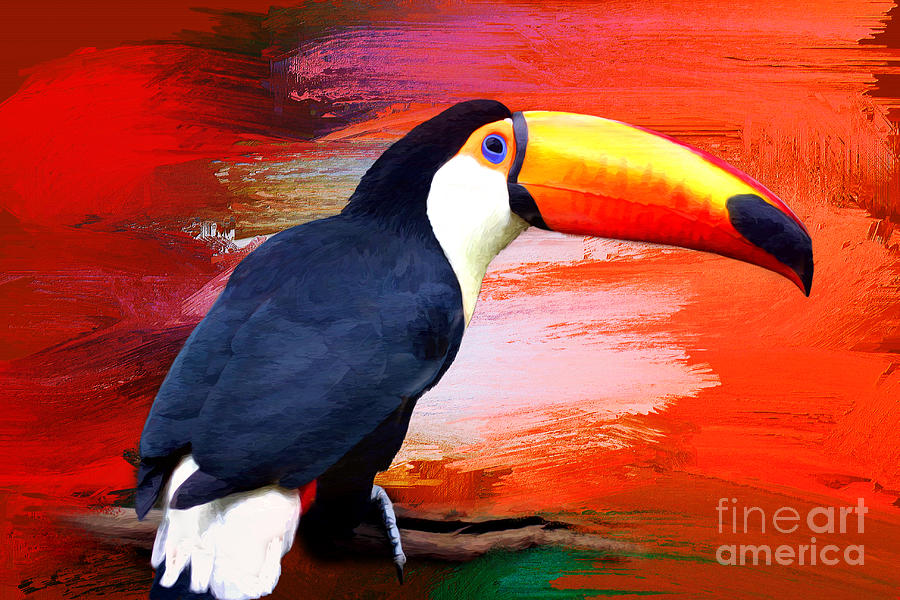 Colorful Toucan Digital Art by Jayne Carney