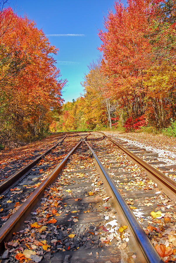 Colorful Tracks   Mauldin SC Photograph by Willie Harper