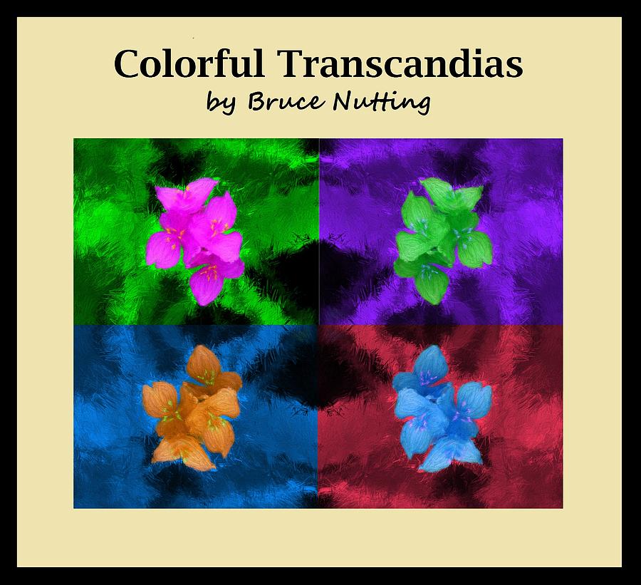 Colorful Transcandias Collage Painting by Bruce Nutting