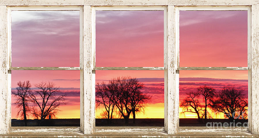 Sunset Photograph - Colorful Tree Lined Horizon White Barn Picture Window Frame  by James BO Insogna