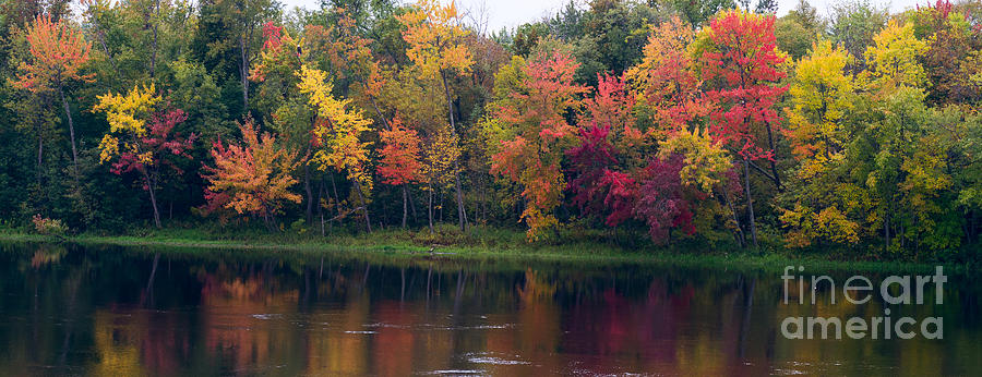 Colorful trees along the river Photograph by Les Palenik