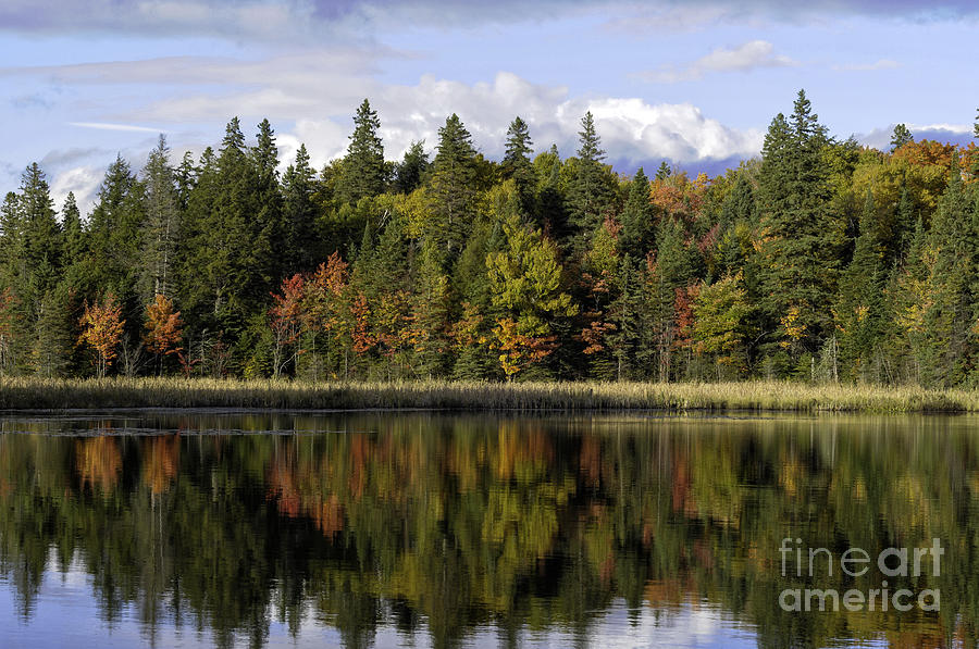 Colorful trees reflected in a lake Photograph by Les Palenik