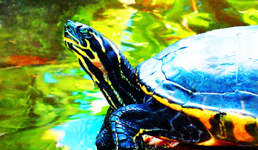 Colorful Turtle By Sharon Cummings Painting