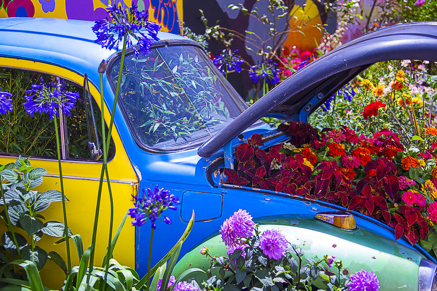 Flower Photograph - Colorful VW Bug by Garry Gay