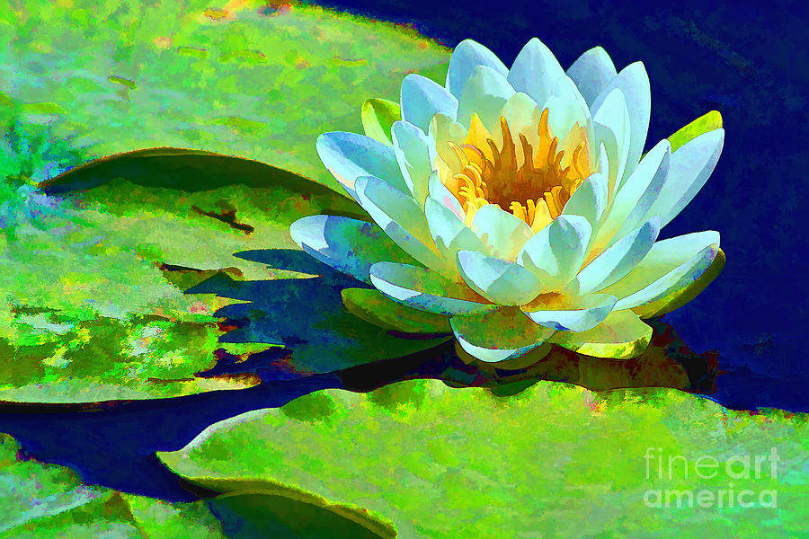 Colorful Water Lily Digital Art by Teresa Zieba