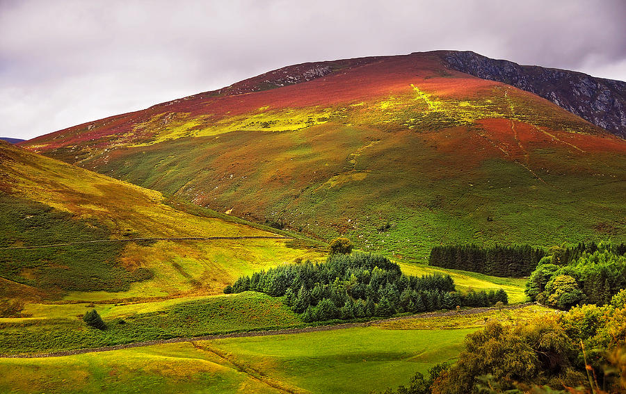 Nature Photograph - Colorful Wicklow Hills at Fall. Ireland by Jenny Rainbow