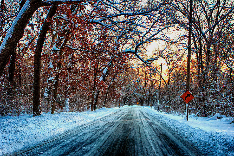 Winter Photograph - Colorful Winter by Jerome Lynch