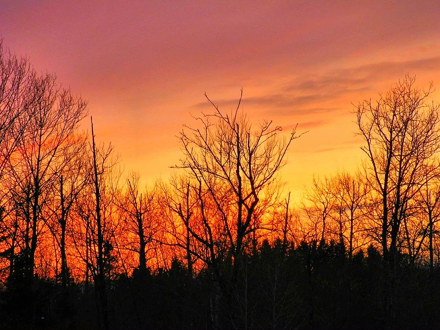 Colorful Winter Sunset Photograph by Gene Cyr | Fine Art America