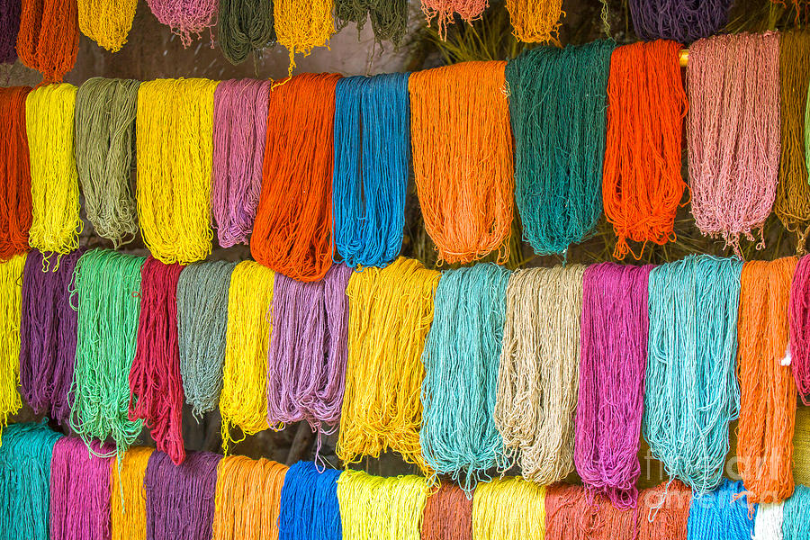 Colorful wool Photograph by Patricia Hofmeester