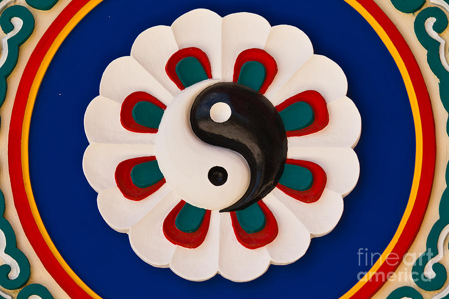Colorful yin-yang sign Photograph by Tosporn Preede