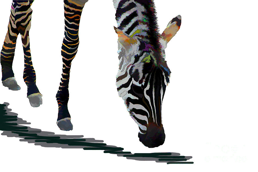 Colorful Zebra 2 Digital Art by Teresa Zieba