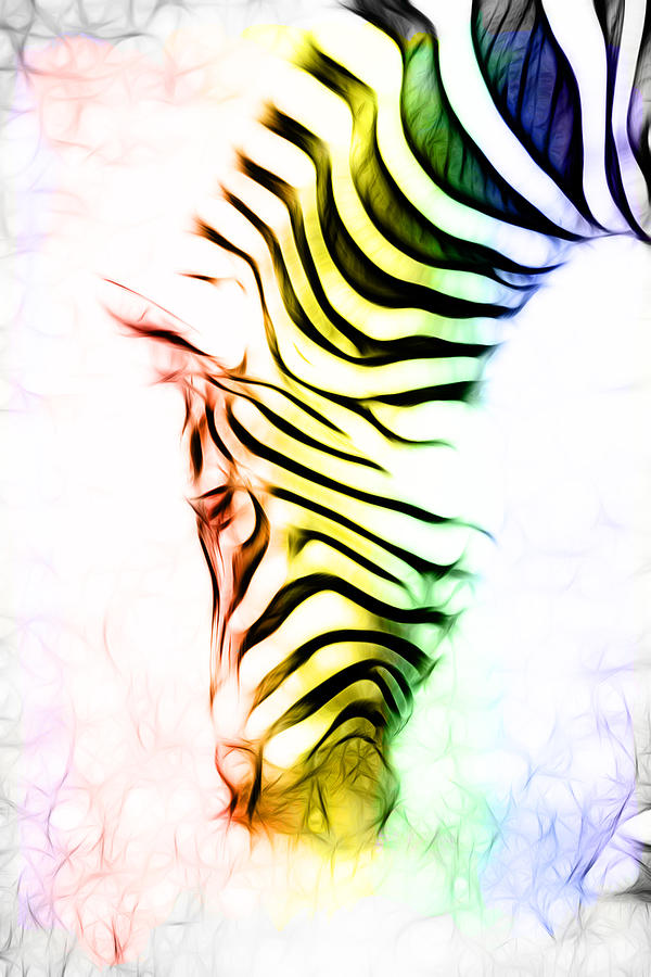 Colorful Zebra Photograph by Steve McKinzie