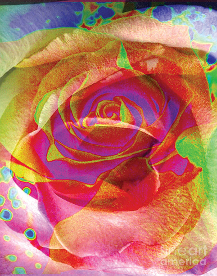 Colorfull Rose Digital Art by Yael VanGruber