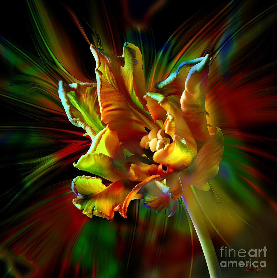 Colorfull tulip Digital Art by Johnny Hildingsson
