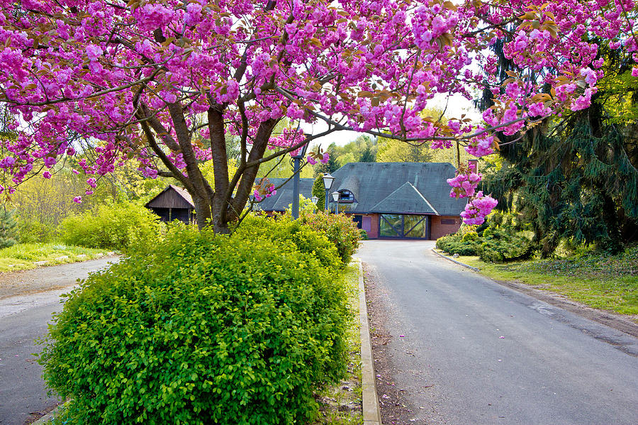 Colorfun nature view - old cottage Photograph by Brch Photography