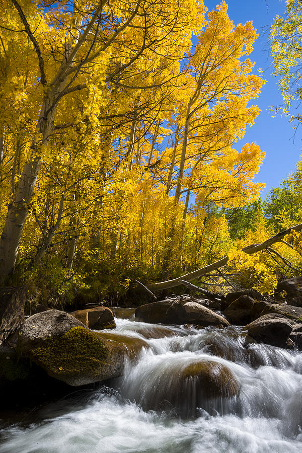Colors and the cascades of South Fork Bishop Creek Photograph by Joe Doherty