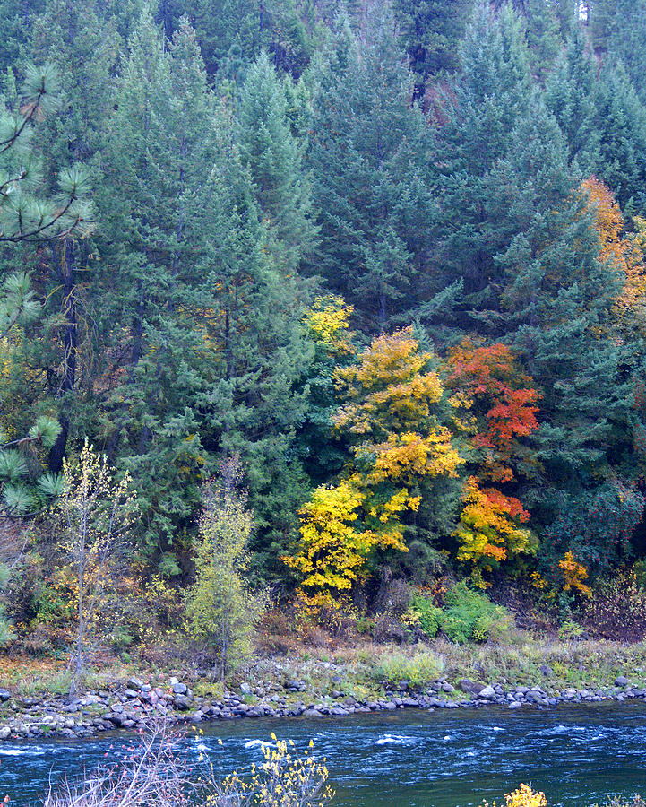 Spokane River Photograph - Colors are Starting to Pop by Ben Upham III