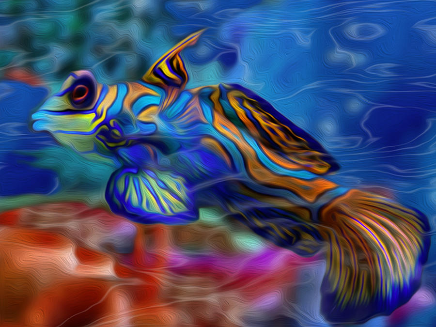 Fish Painting - Colors Below 2 by Jack Zulli