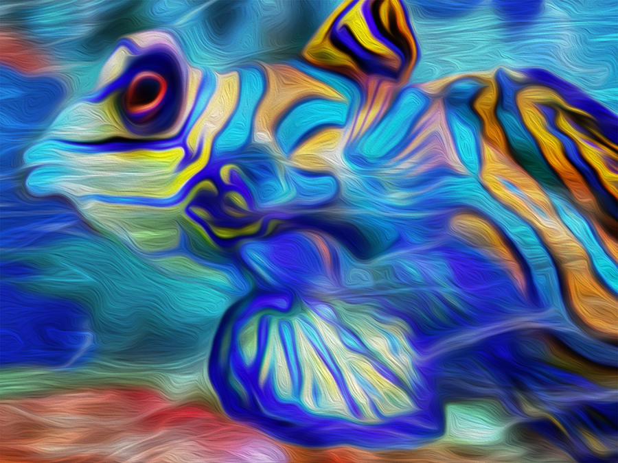 Fish Painting - Colors Below by Jack Zulli