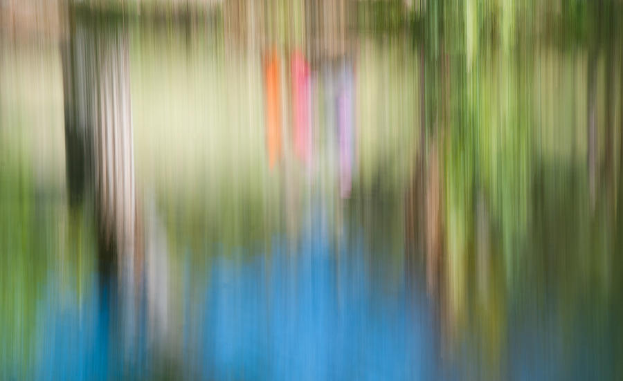 Colors in abstract Photograph by Carolyn DAlessandro