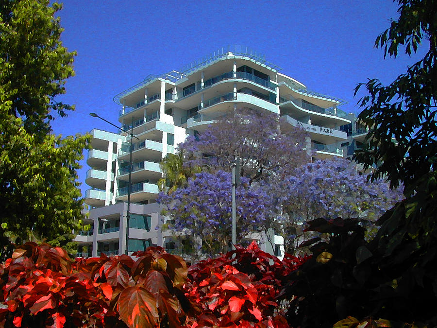 Colors in Brisbane Photograph by Lenore Senior - Fine Art America