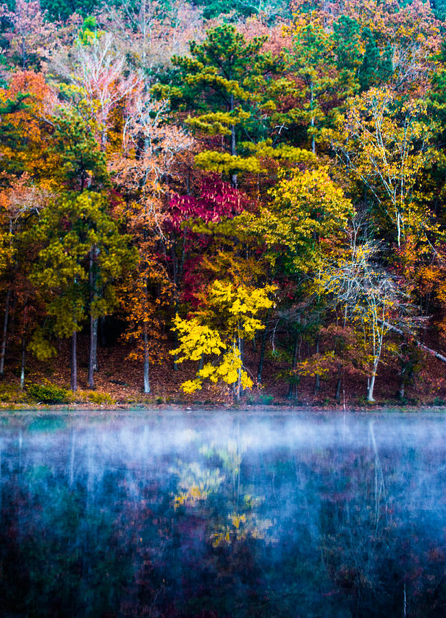 Fall Photograph - Colors In Early Morning Fog by Parker Cunningham