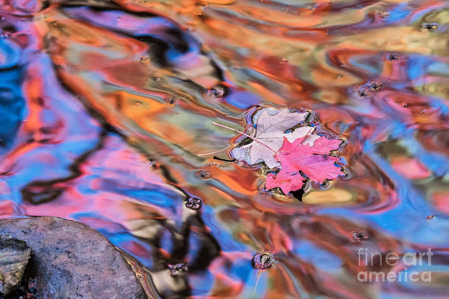 Colors on Oak Creek in Sedona Photograph by Marianne Jensen