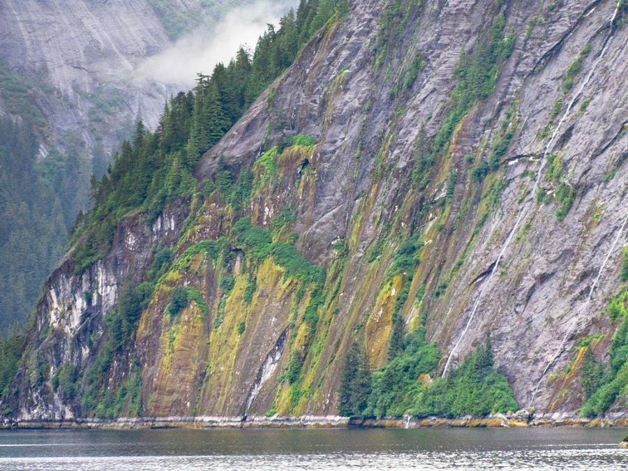 Colors of Alaska - Misty Fjords Photograph by Natalie Rotman Cote
