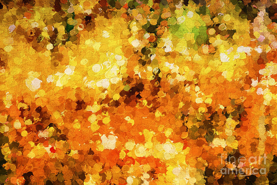 Colors of Autumn Abstract Photograph by Darren Fisher