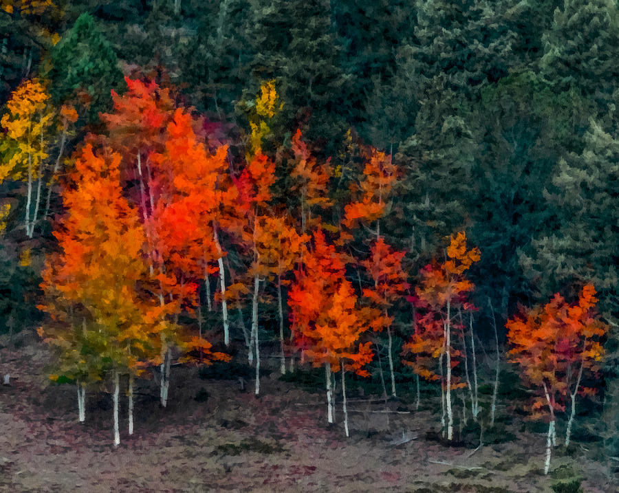Colors of Autumn Digital Art by Ernest Echols