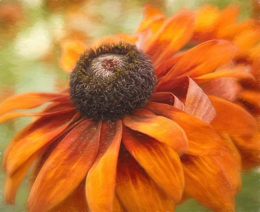 Flower Photograph - Colors of Autumn by Kim Hojnacki