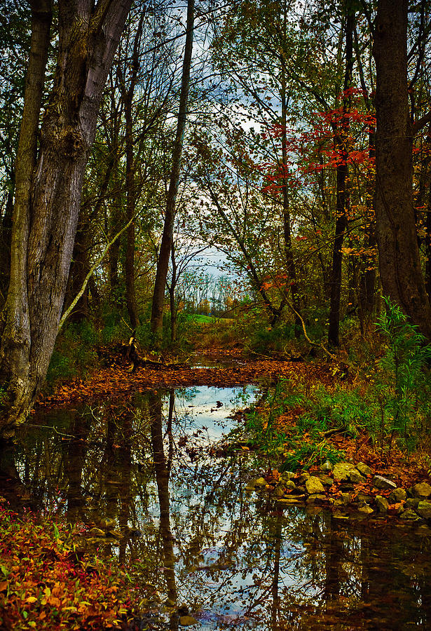 Colors of Fall Photograph by Kristi Swift - Fine Art America