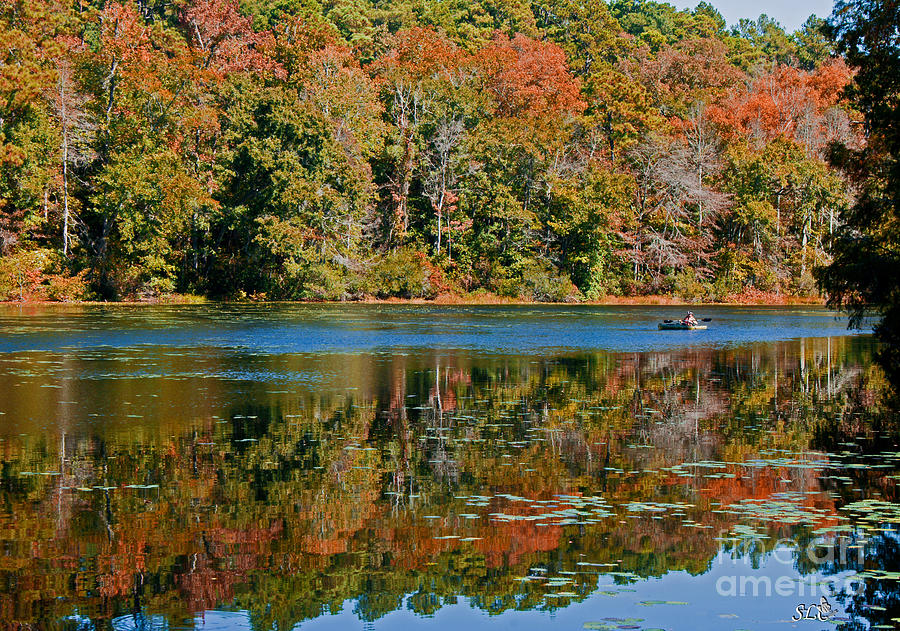 Colors of Fall Photograph by Sandra Clark