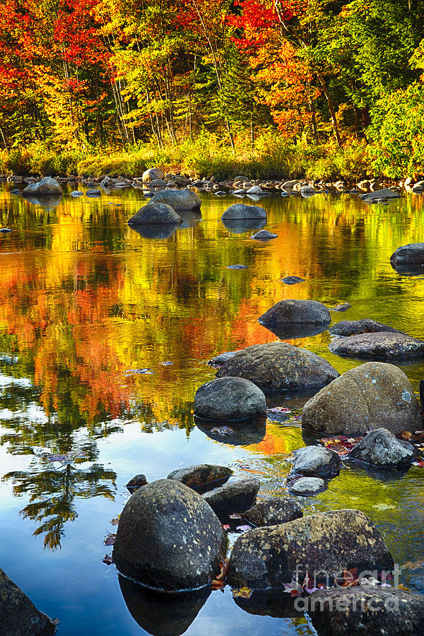 Colors of New England Autumn I Photograph by George Oze