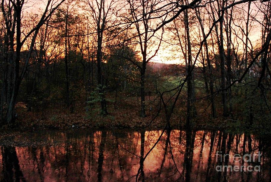 Colors of November Sunset Photograph by Rita Brown