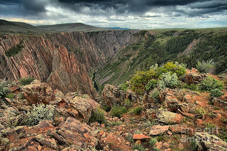 Colors Of The Black Canyon Photograph by Adam Jewell