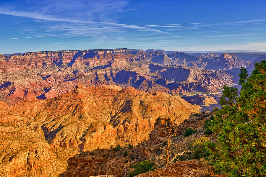 Colors of the Canyon Photograph by Greg Norrell