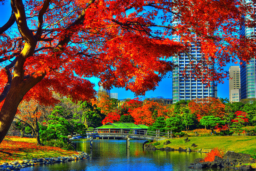 Colors of the city Photograph by Midori Chan