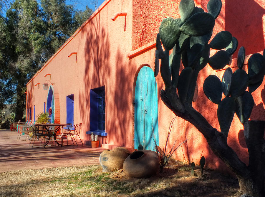 Colors of the Desert Southwest Photograph by Lucinda Walter