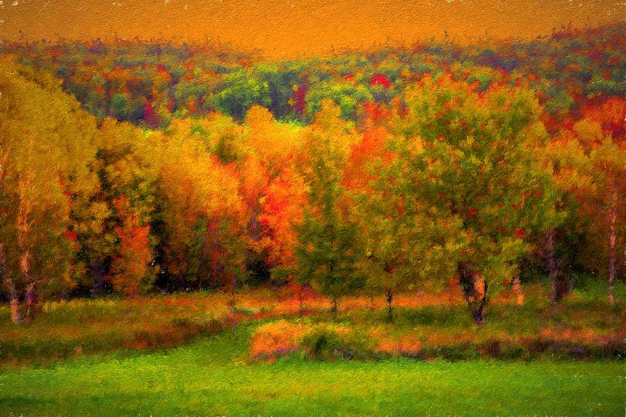 Tree Photograph - Colors of The Fall by Jim Markiewicz