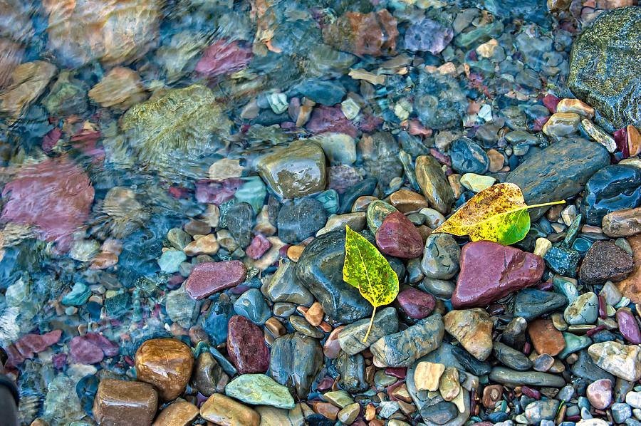 Colors of the Stream Photograph by Joan Herwig