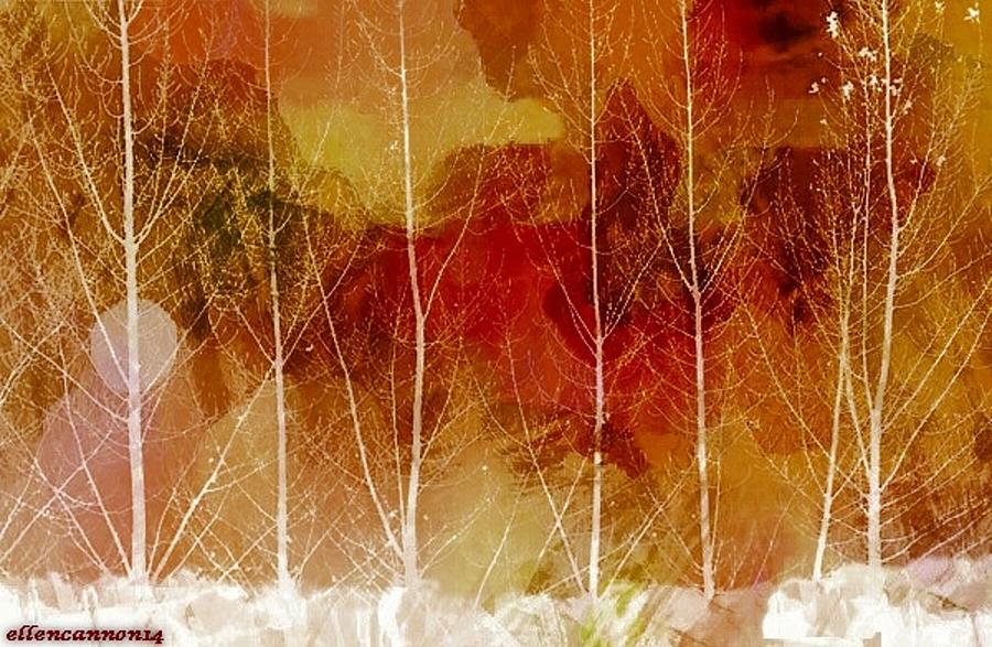Nature Digital Art - Colors of the Wind by Ellen Cannon