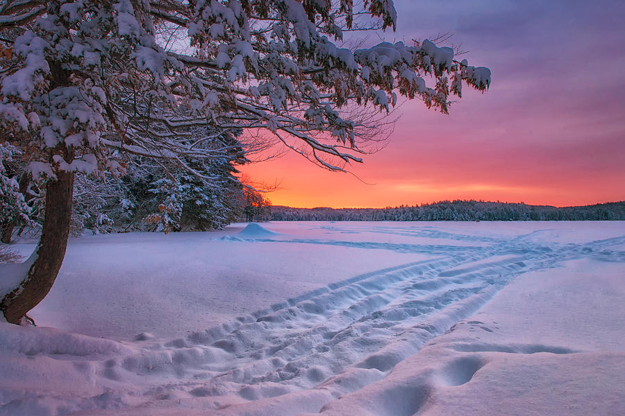 Colors of Winter Photograph by Darylann Leonard Photography