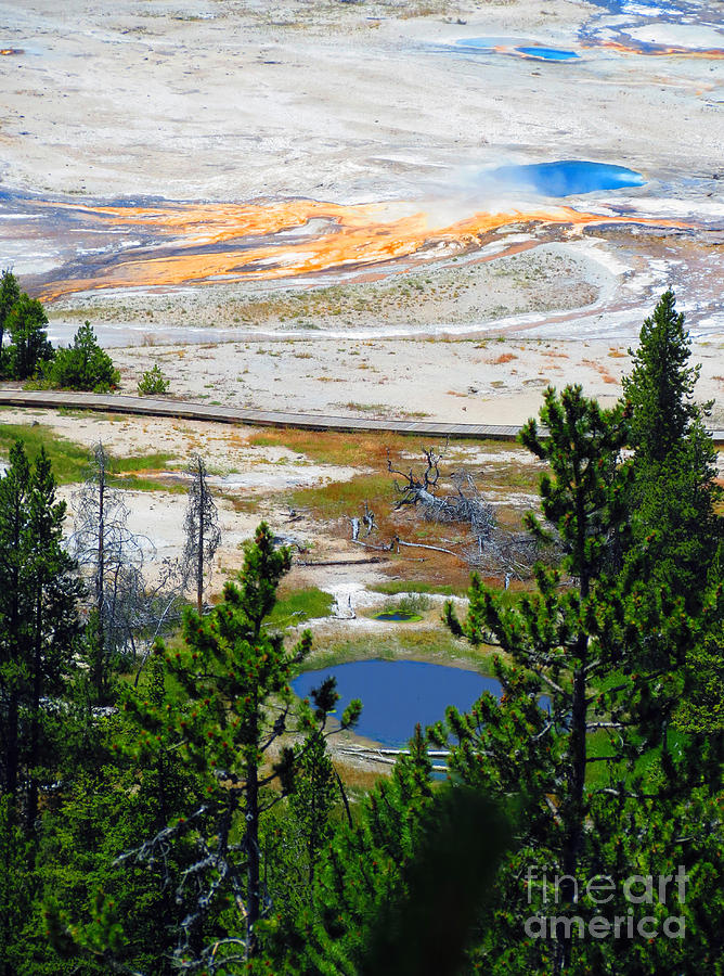 Yellowstone National Park Photograph - Colors of Yellowstone by Ausra Huntington nee Paulauskaite