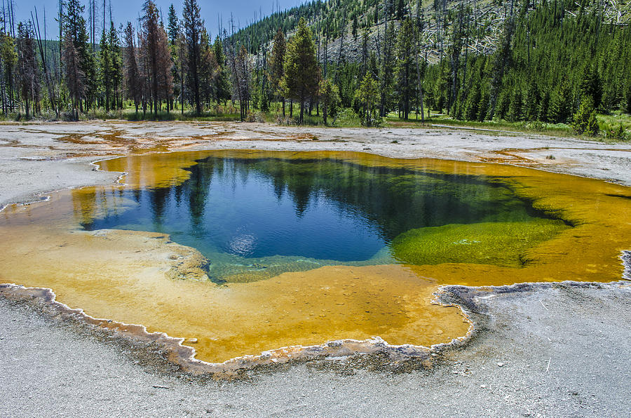 Colors of Yellowstone Photograph by Spencer Hughes
