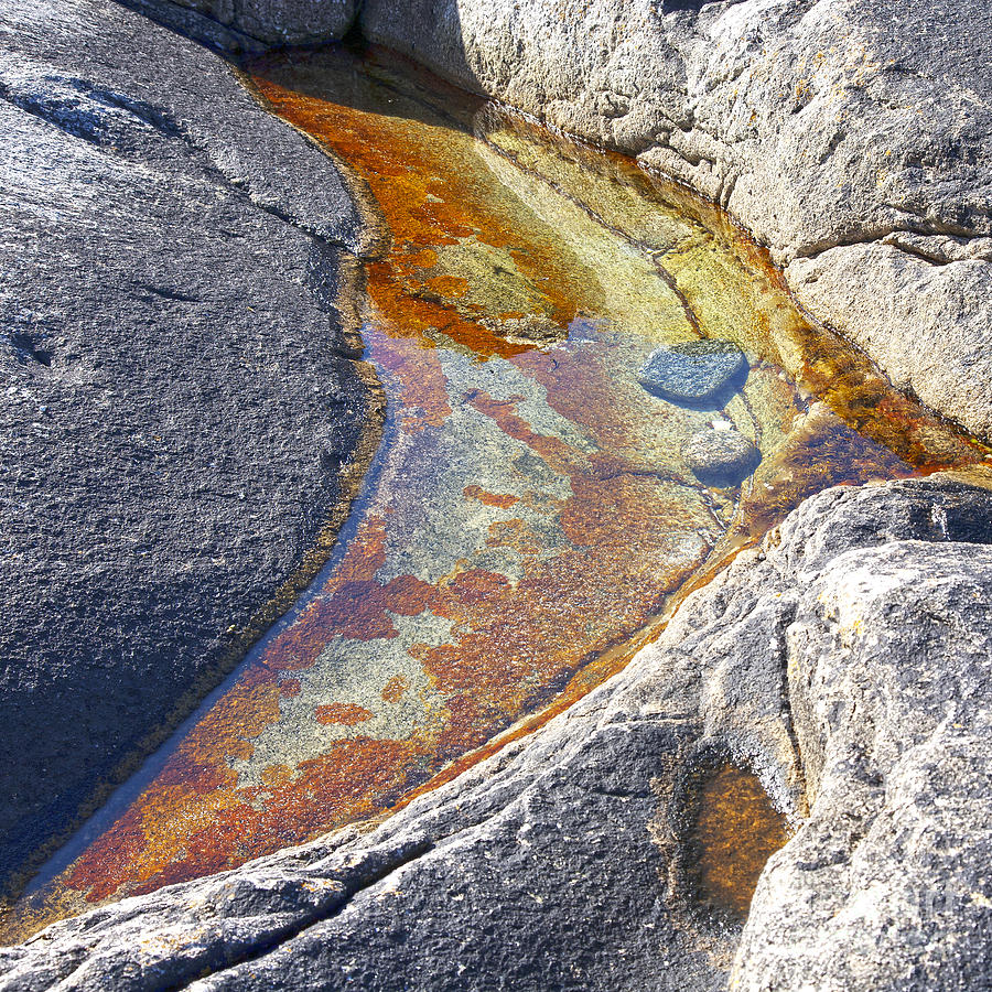 Colors on rock Photograph by Heiko Koehrer-Wagner