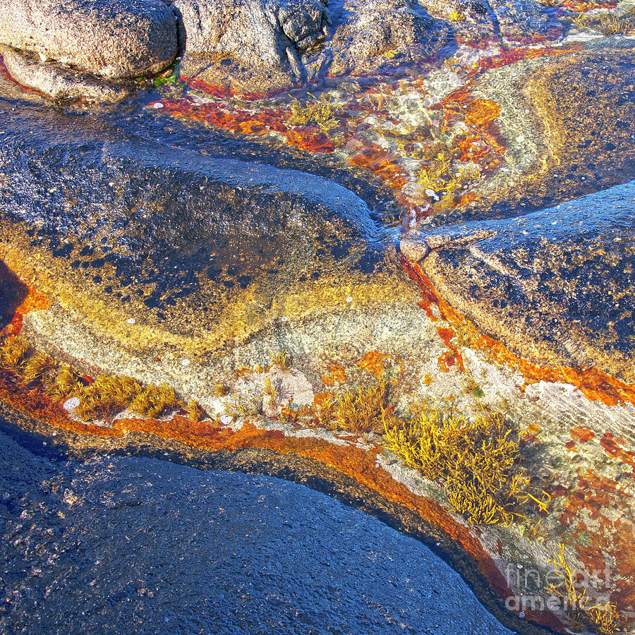 Nature Photograph - Colors on rock I by Heiko Koehrer-Wagner