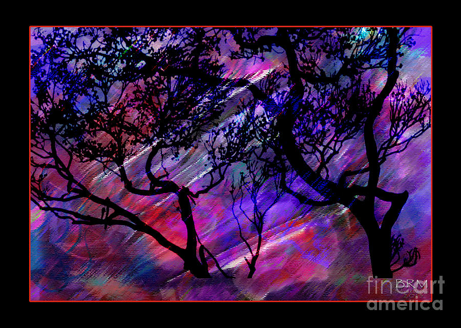 Colorscape Digital Art by Barbara MacPhail