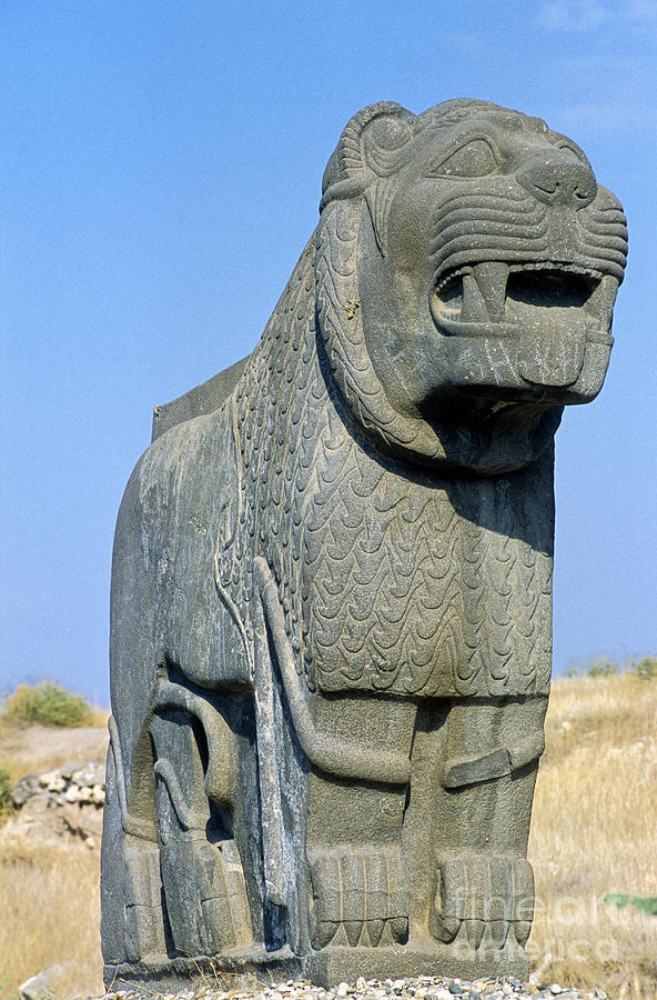 Colossal Lion, Ain Dara, Syria Photograph by Adam Sylvester - Fine Art ...