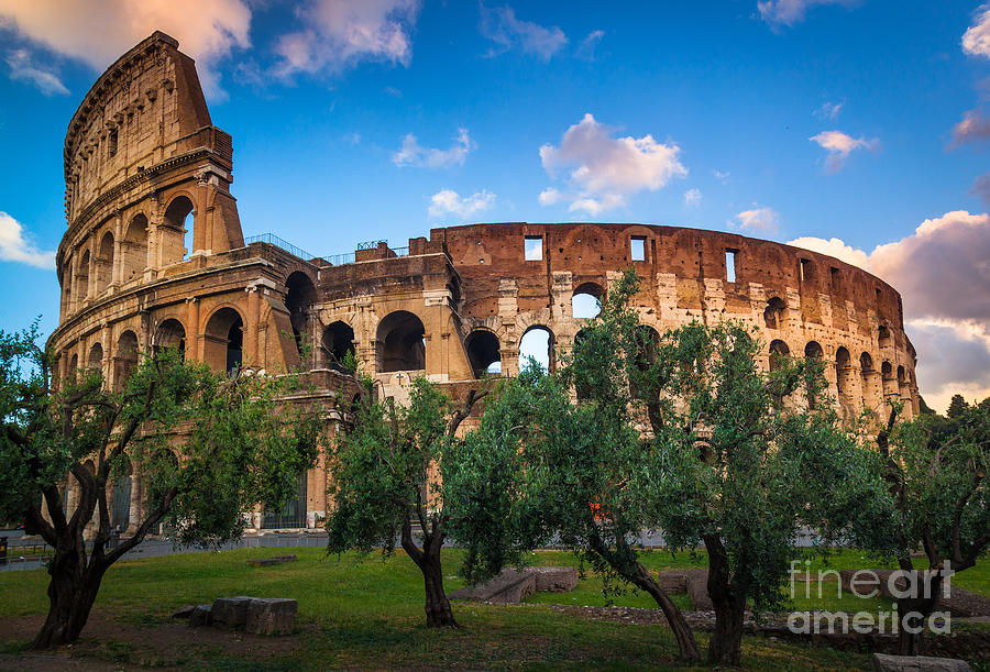 Architecture Photograph - Colosseum Behind Trees by Inge Johnsson
